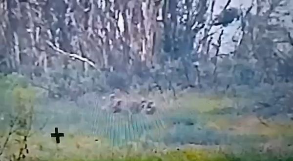 video_2023-07-28_21-54-01