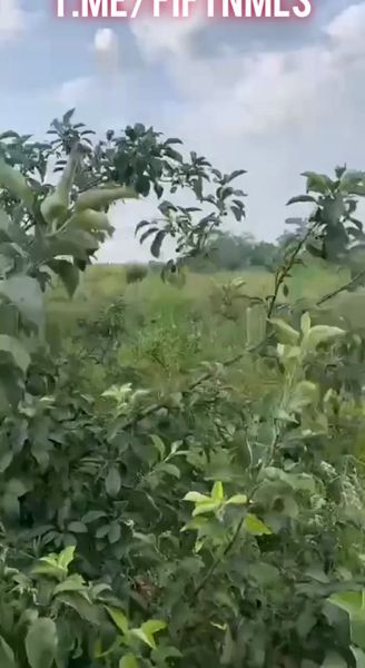video_2023-07-31_18-52-18