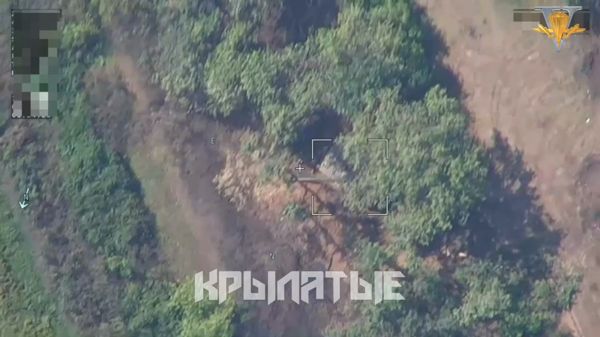 video_2023-07-31_21-36-51